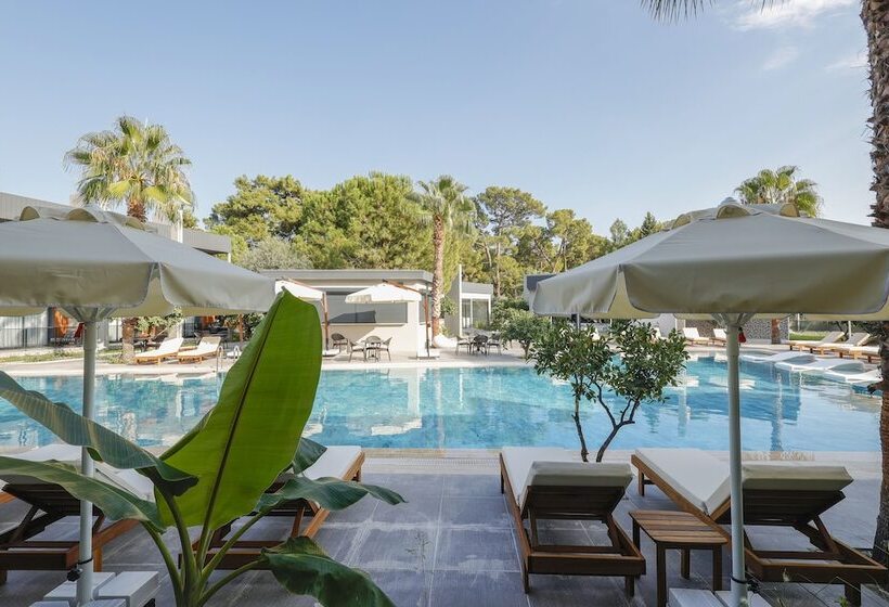 Отель Forest In