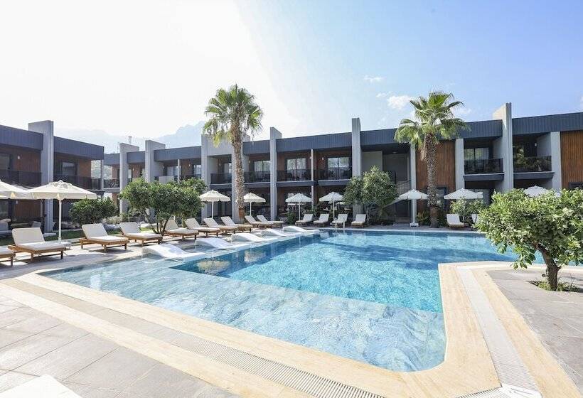 Отель Forest In