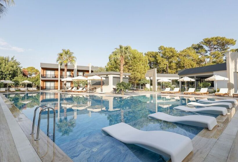 Отель Forest In