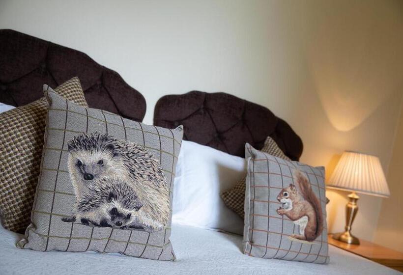 酒店 Holne Park House At River Dart Country Park