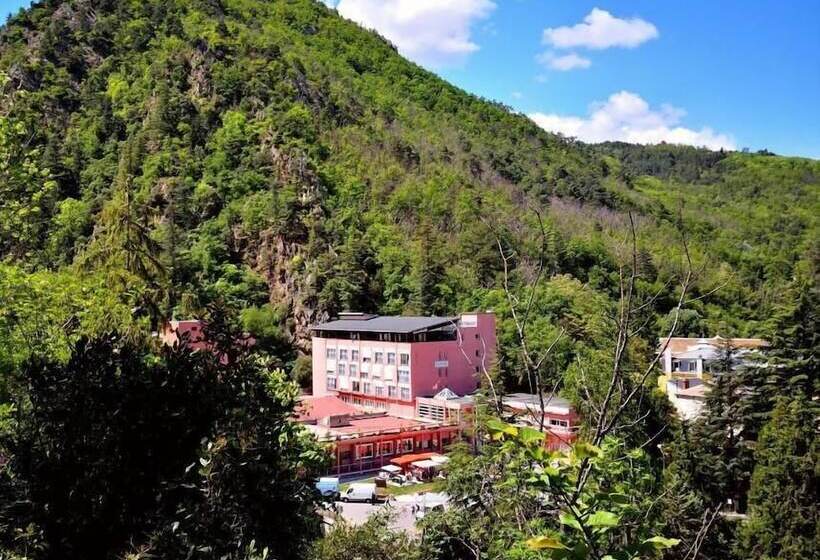 Отель Hôtel Les Sources