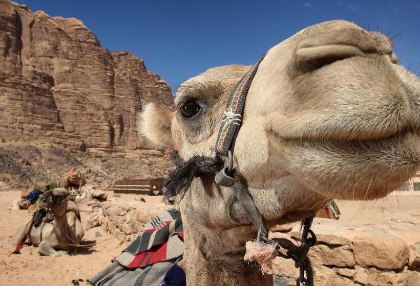 هتل Petra Bellevue Inn