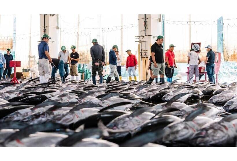 فندق Pulse Inn Katsuura   Vacation Stay 44377v