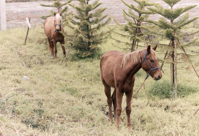 호텔 Stay Pilafarm