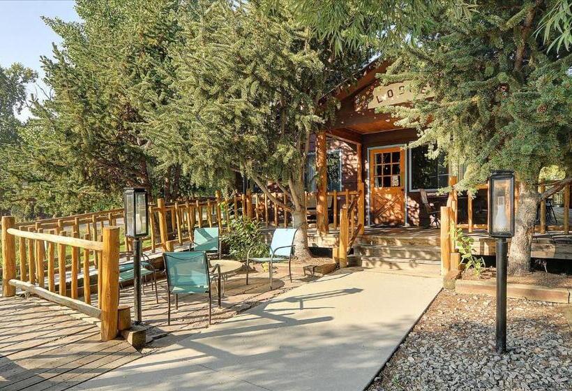 فندق Vista Court Cabins & Lodge