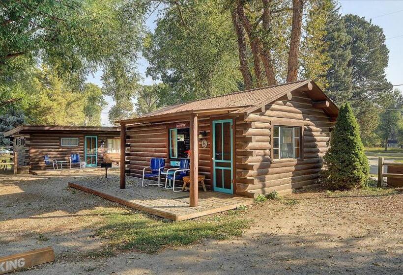 فندق Vista Court Cabins & Lodge