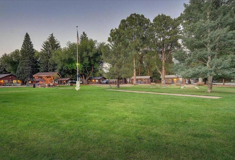 فندق Vista Court Cabins & Lodge