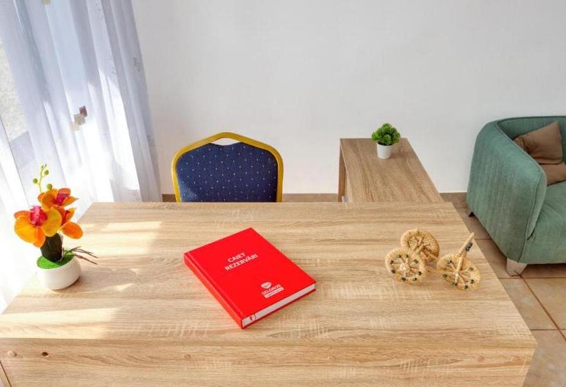 Пансион Casa Godi