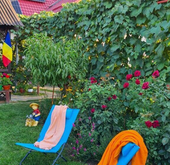 بنسيون Casa Lumi