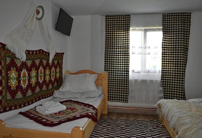 بنسيون Casa Vladicu