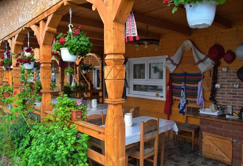 פנסיון Casa Vladicu