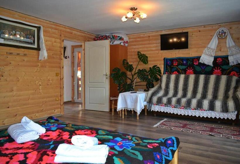 פנסיון Casa Vladicu