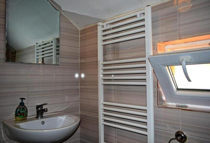 פנסיון Casa Vladicu