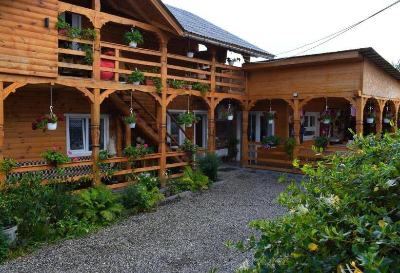 פנסיון Casa Vladicu