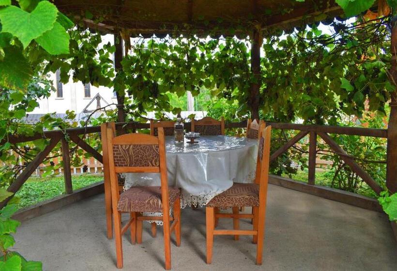 פנסיון Casa Vladicu