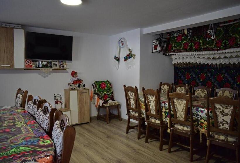 פנסיון Casa Vladicu