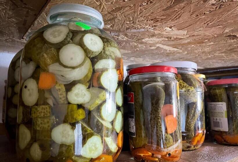 ペンション Căsuța Măriuca