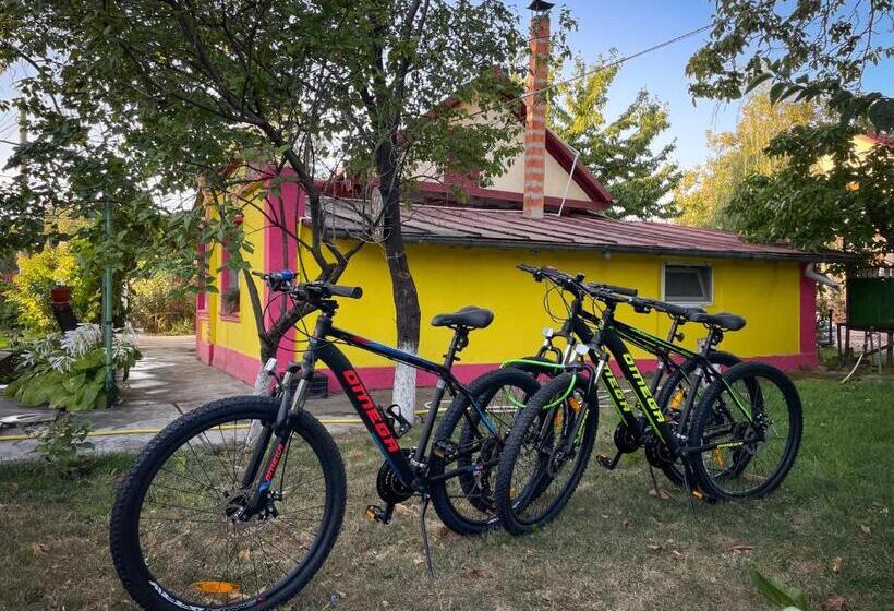 ペンション Căsuța Măriuca