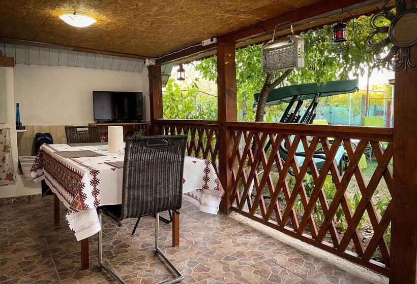 ペンション Căsuța Măriuca