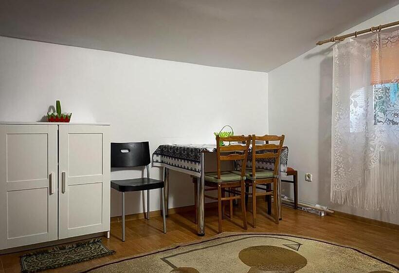 ペンション Căsuța Măriuca