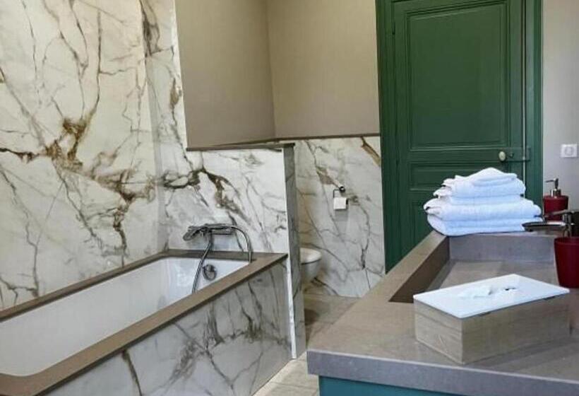 Пансион Chambres D Hôtes Rénovées Avec Piscine, Cœur De Ville, Proche Zoo Et Prytanée, Petit Déj Inclus Fr