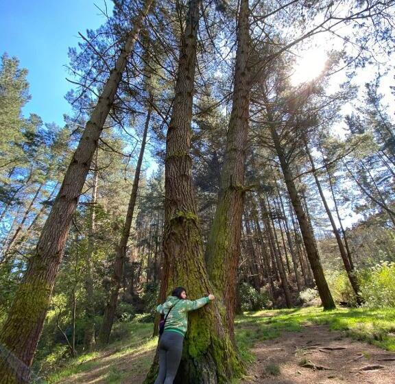 פנסיון Habitación Para 4, Acogedor, Familiar, Equipado, Baño Compartido