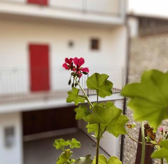 פנסיון La Volpe Rossa Rooms And Apartments