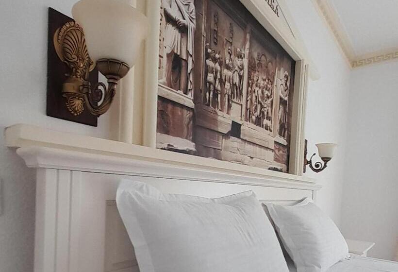 פנסיון Vidra Dacica