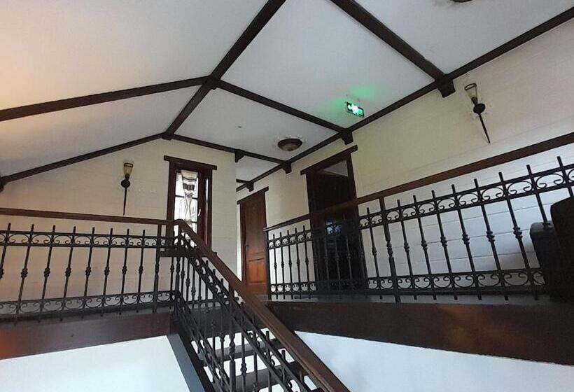 פנסיון Vidra Dacica