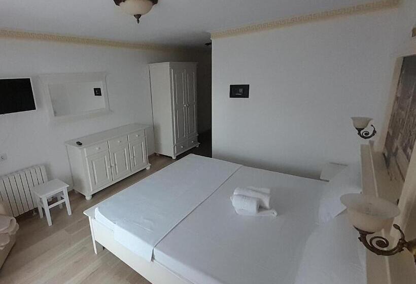 פנסיון Vidra Dacica