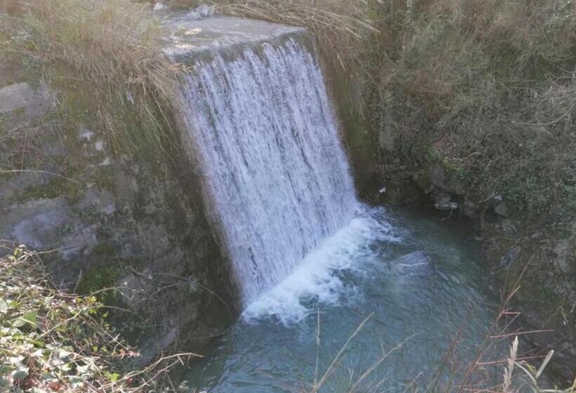 膳宿费 Villa   Malibu  B & B