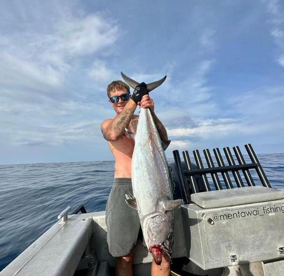 膳宿费 Villa Onu Mentawai   Private Rooms