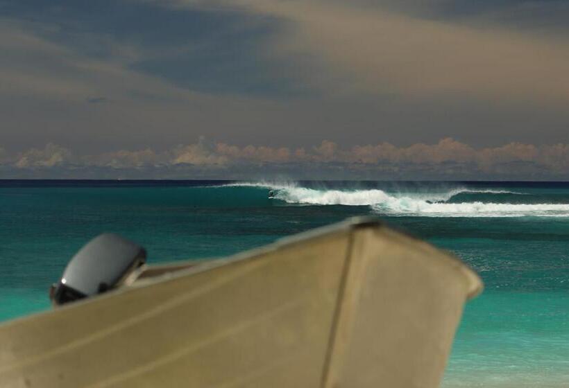 膳宿费 Villa Onu Mentawai   Private Rooms