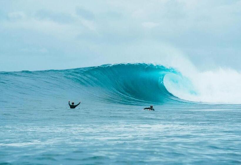 膳宿费 Villa Onu Mentawai   Private Rooms