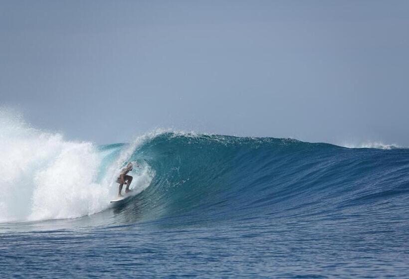 膳宿费 Villa Onu Mentawai   Private Rooms