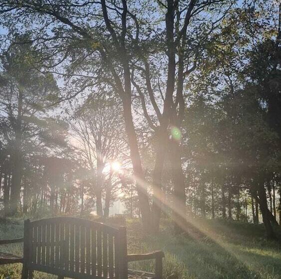 Royal Swan, Ashley Manor   B&b