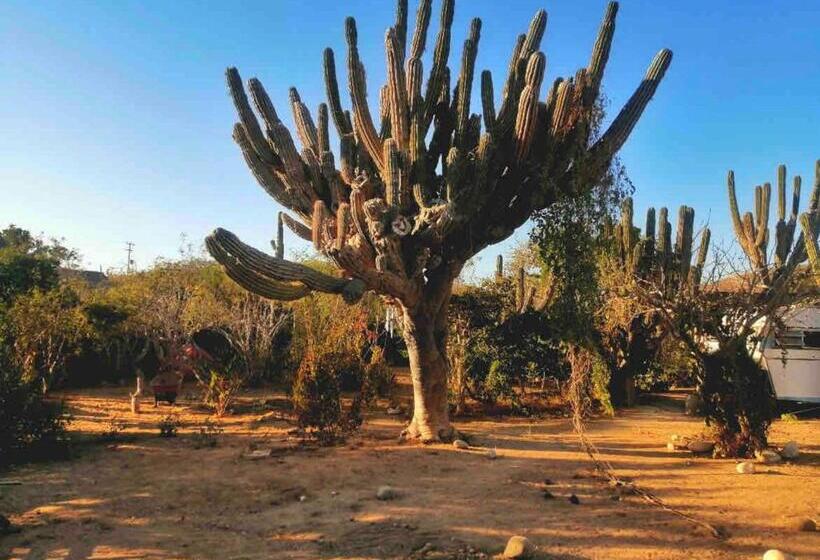فندق صغير Boat House At Espacio Amor