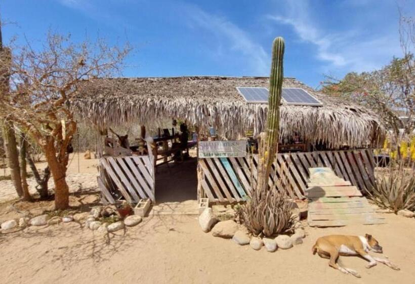 فندق صغير Boat House At Espacio Amor