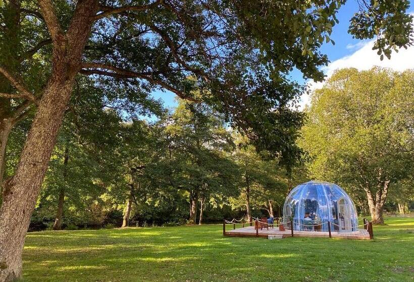 호스텔 Borås Camping & Vandrahem