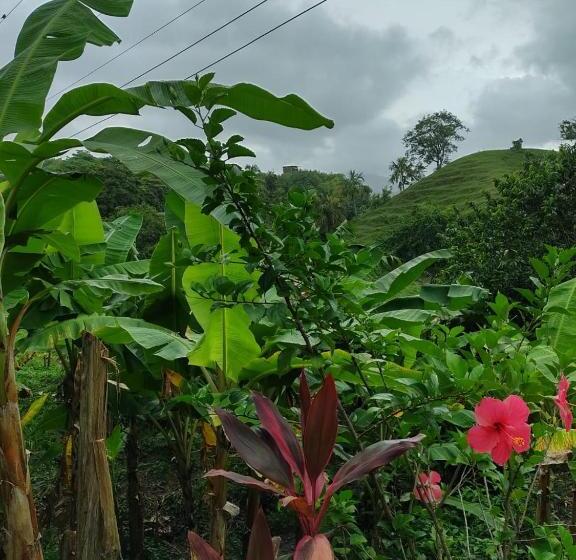Albergue Cabaña Wiwa Tayrona
