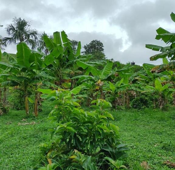Albergue Cabaña Wiwa Tayrona