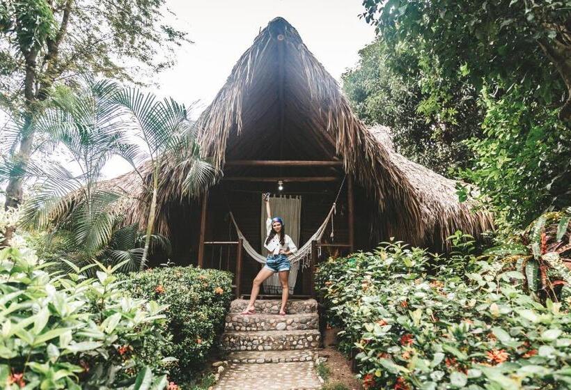 Albergue Cabaña Wiwa Tayrona