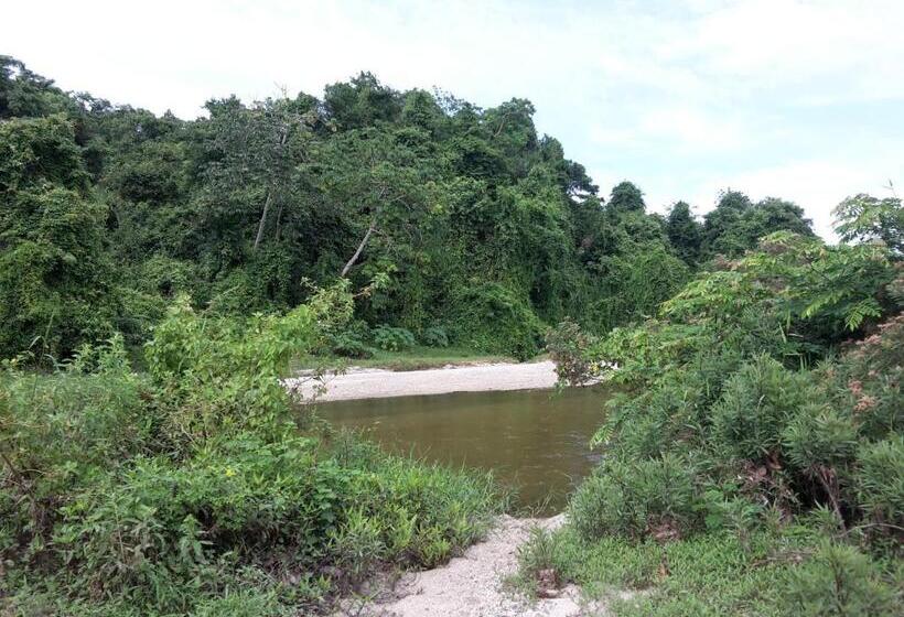 Albergue Cabaña Wiwa Tayrona