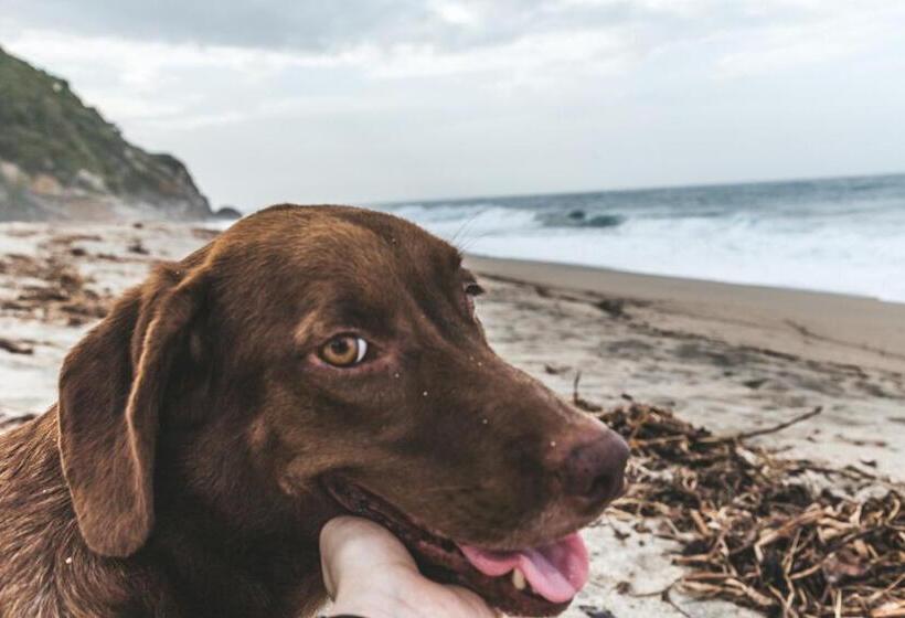 Albergue Cabaña Wiwa Tayrona