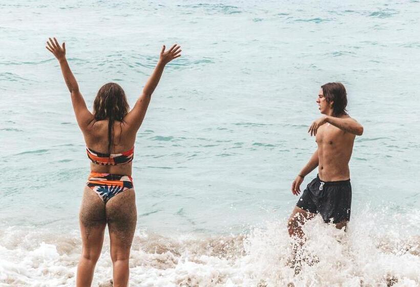 Albergue Cabaña Wiwa Tayrona