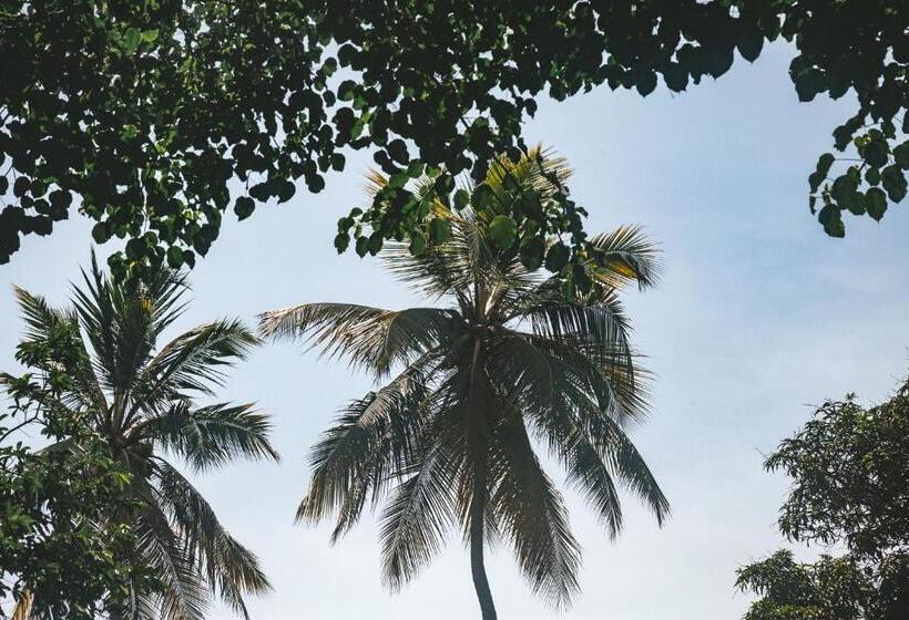 Albergue Cabaña Wiwa Tayrona