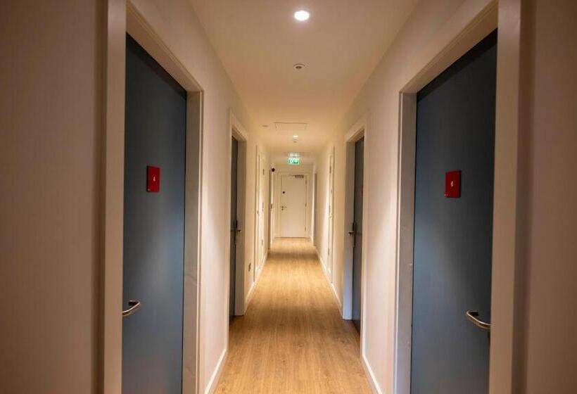 旅馆 University Of Galway Rooms