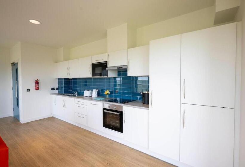 فندق صغير University Of Galway Rooms