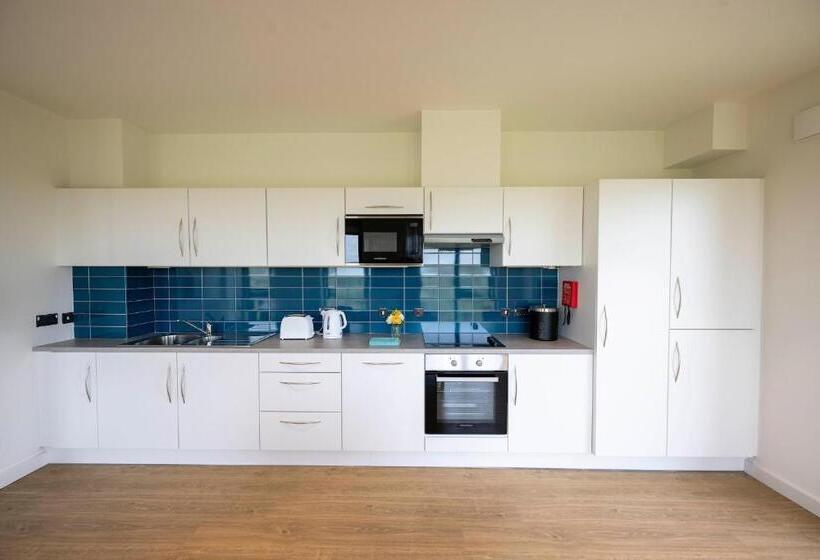 旅馆 University Of Galway Rooms