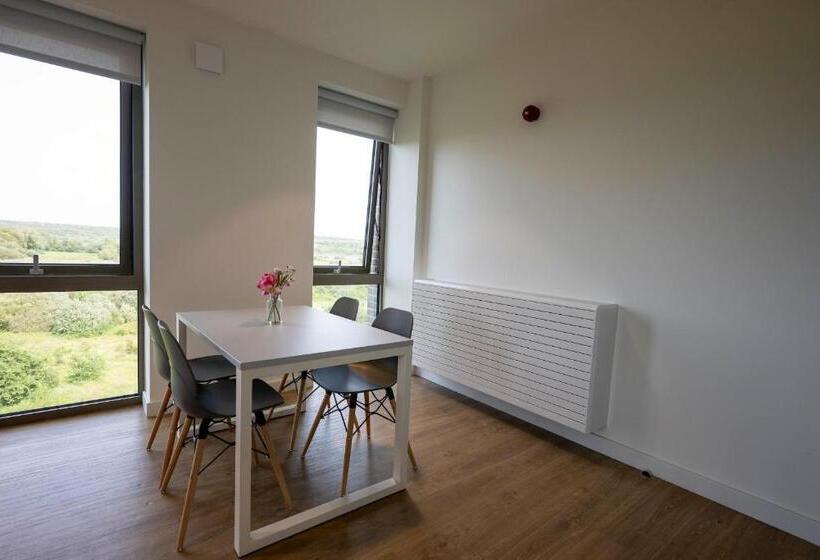 旅馆 University Of Galway Rooms